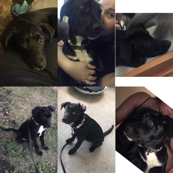 Helping my baby🐾💞 - Picture 2 of 8